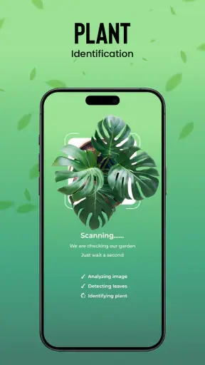 Identification des plantes screenshot