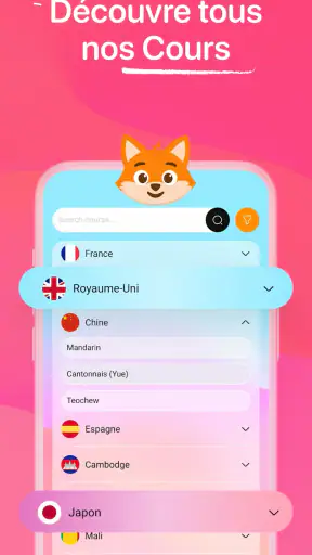 Iori Flashcards : Langues screenshot