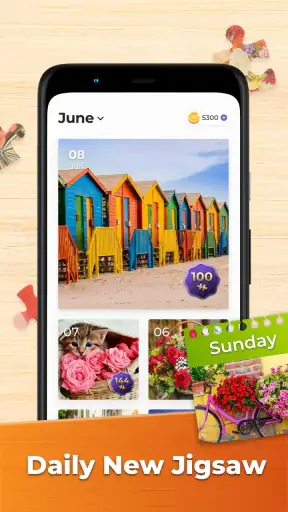 Jeux de Puzzle Pour Adultes screenshot