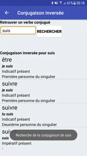 Le Conjugueur screenshot