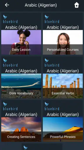 Learn Algerian Arabic. Speak A screenshot