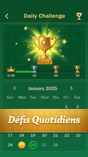 Maître du Solitaire Classique screenshot