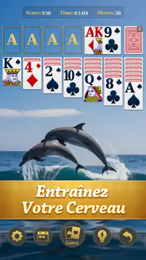 Maître du Solitaire Classique screenshot