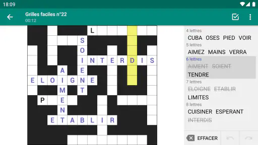 Mots Casés - Français screenshot