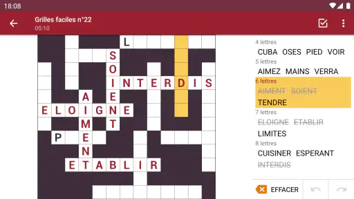 Mots Casés - Français screenshot