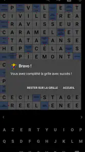 Mots Fléchés Français screenshot