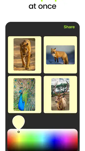 No Crop Photo: Picture Resizer screenshot