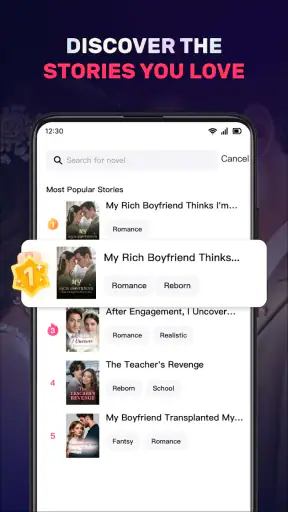 NovelMaster screenshot