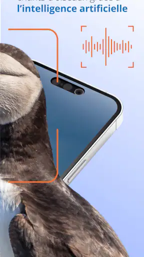 Ois'App - Oiseaux de France screenshot