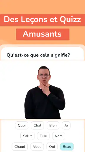 Pause LSF - Langue des Signes screenshot