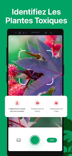 PictureThis Plante Identifier screenshot