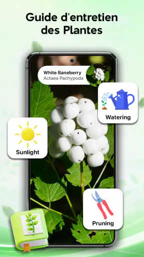 Plant Identifier - Plant Care screenshot