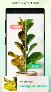 Plant Parent - Guide entretien screenshot