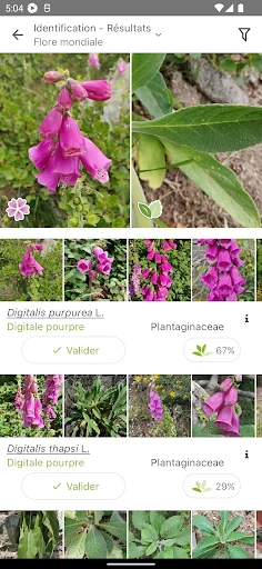 PlantNet Identification Plante screenshot