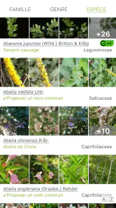 PlantNet Identification Plante screenshot