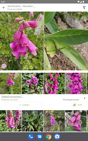 PlantNet Identification Plante screenshot