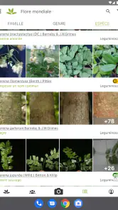 PlantNet Identification Plante screenshot