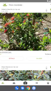 PlantNet Identification Plante screenshot