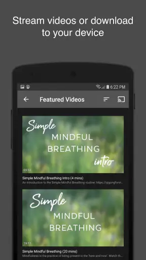 Qigong for Vitality screenshot