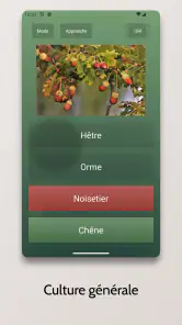 Quiz sans fin screenshot