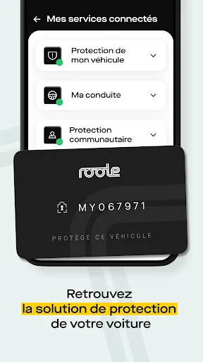 Roole Premium screenshot