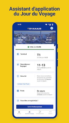 Ryanair screenshot