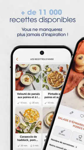 Saveurs : Recettes de cuisine screenshot