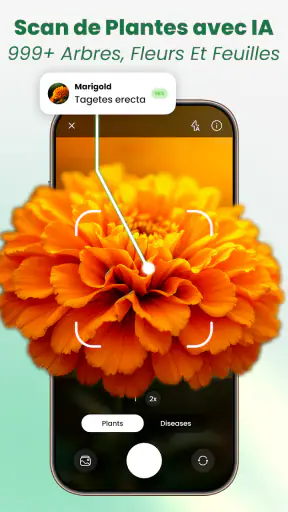 Scan Plantes & Fleurs: AI screenshot