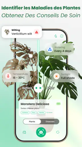 Scan Plantes & Fleurs: AI screenshot