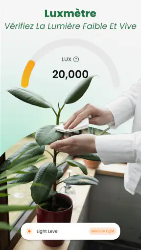 Scan Plantes & Fleurs: AI screenshot