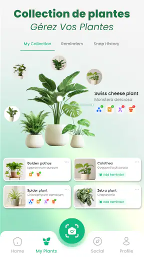Scan Plantes & Fleurs: AI screenshot