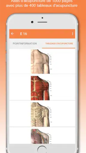 Shen-Acupuncture screenshot