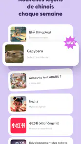 SuperChinese: Chinois Mandarin screenshot