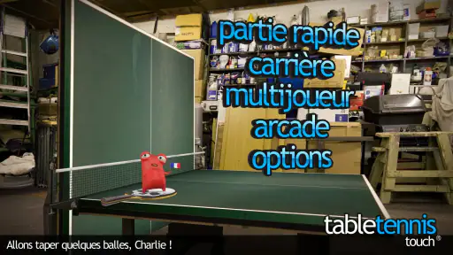 Table Tennis Touch screenshot