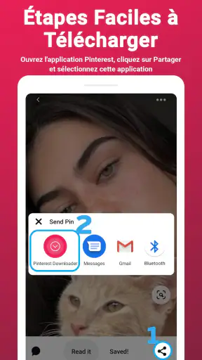 Téléchargement Vidéo Pinterest screenshot