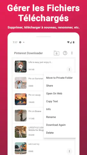 Téléchargement Vidéo Pinterest screenshot
