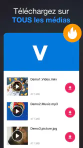 Téléchargeur de Vidéo screenshot