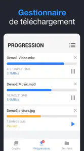 Téléchargeur de Vidéo screenshot