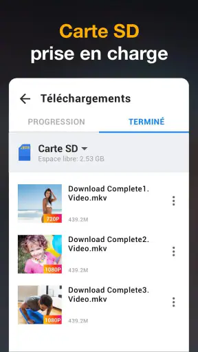 Téléchargeur de Vidéos HD screenshot