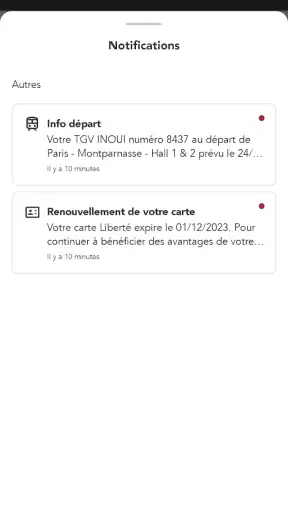 TGV INOUI PRO screenshot