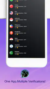VirtuNum - Numéro Virtuel screenshot