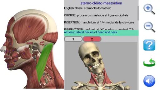 Visual Anatomy 2 screenshot