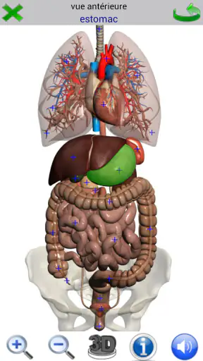 Visual Anatomy 2 screenshot