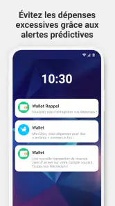 Wallet - Suivi de budget screenshot