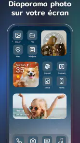 Widgets et Thèmes : iWidgets screenshot