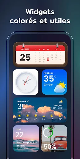 Widgets et Thèmes : iWidgets screenshot