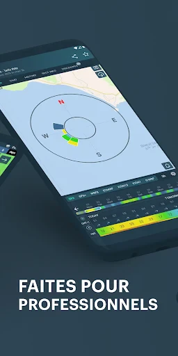 Windy.app - Prévisions de vent screenshot