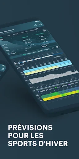 Windy.app - Prévisions de vent screenshot