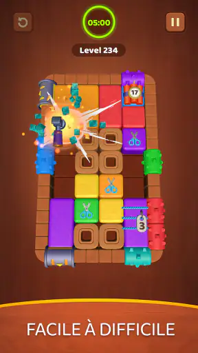 Wood Block Jam screenshot