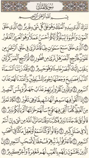 القرآن الكريم - مصحف المدينة screenshot